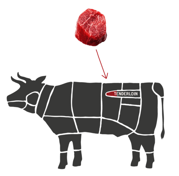 Cow Diagram of Filet Mignon Beef Cut