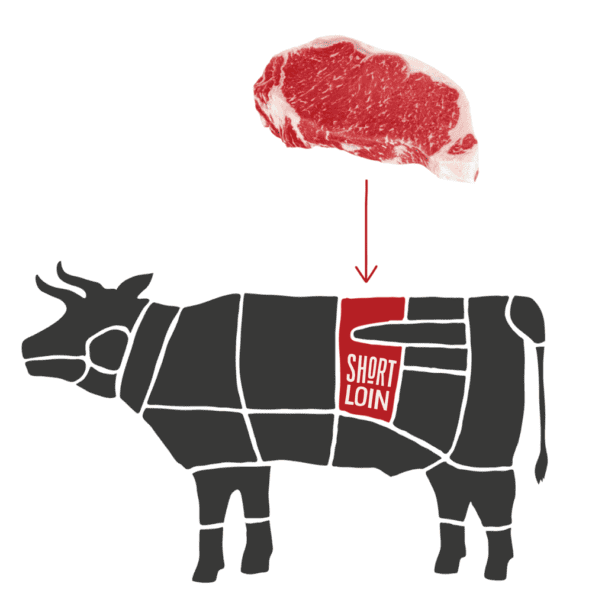 Cow Diagram of New York Strip Beef Cut