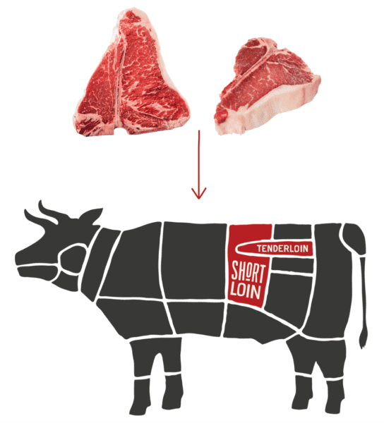 Cow Diagram of T bone and Porterhouse Beef Cuts