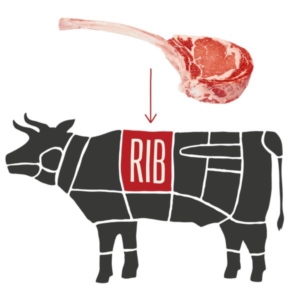 Cow Diagram of Tomahawk Beef Cut