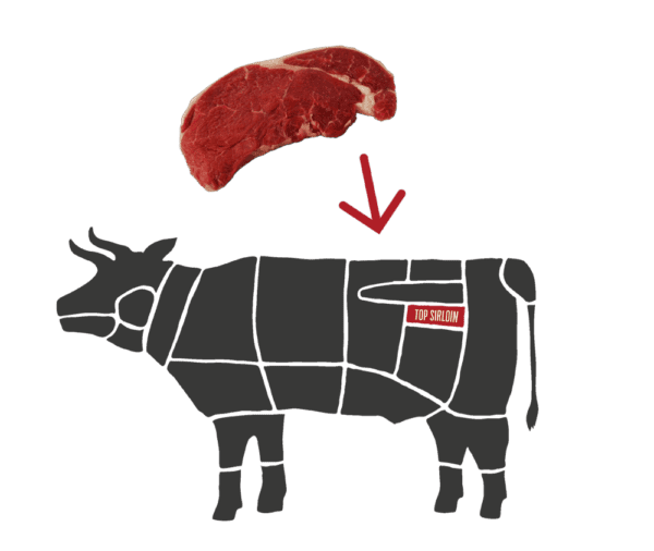 Cow Diagram of a Top Sirloin Beef Cut